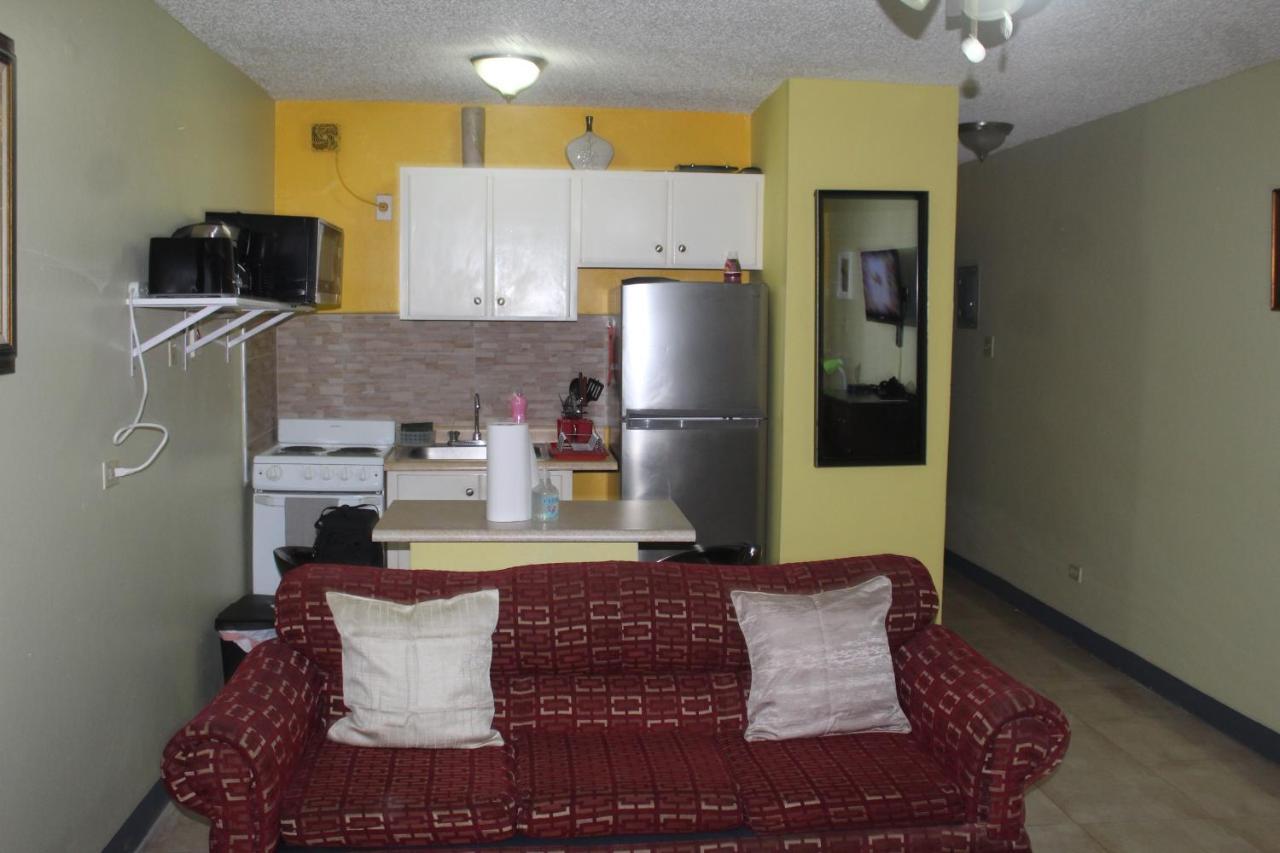Comfy, Central & Elegant Studio New Kingston Exterior foto