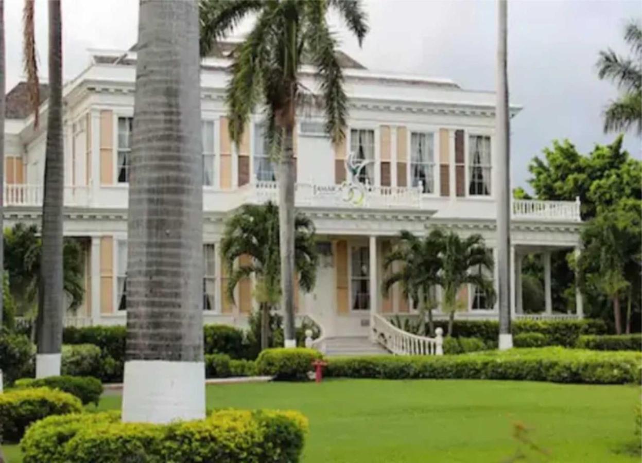 Comfy, Central & Elegant Studio New Kingston Exterior foto